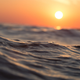 Image for article titled We've Only Really Protected 2 Percent of the Ocean